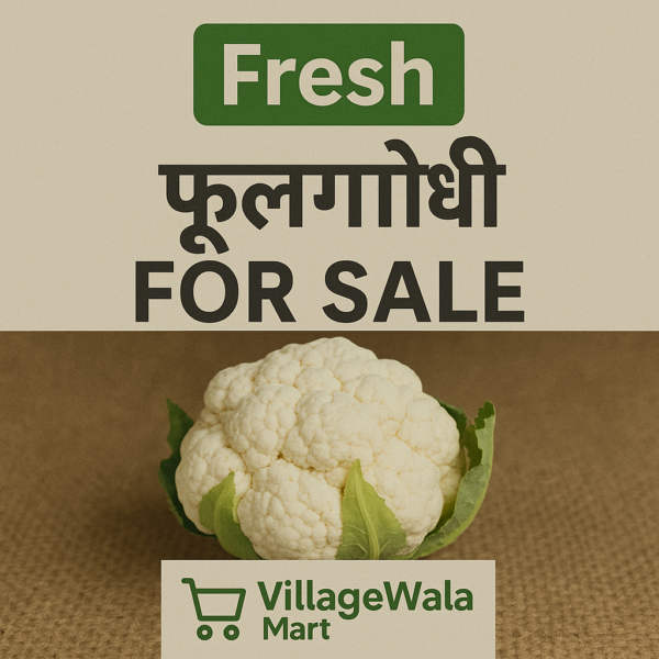 Cauliflower (Phool Gobhi) - 1kg Premium Quality, Farm-Fresh & Nutrient-Packed