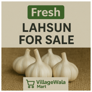 Hand-selected, chemical-free garlic bulbs with plump cloves, grown using traditional organic farming methods. Each bulb bursts with intense aroma and robust flavor.