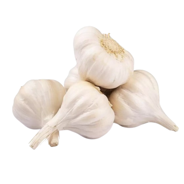 Hand-selected, chemical-free garlic bulbs with plump cloves, grown using traditional organic farming methods. Each bulb bursts with intense aroma and robust flavor.