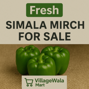 Hand-selected, vibrant green capsicums with thick fleshy walls, grown naturally without artificial ripening agents. Each piece is carefully inspected for freshness and firmness.