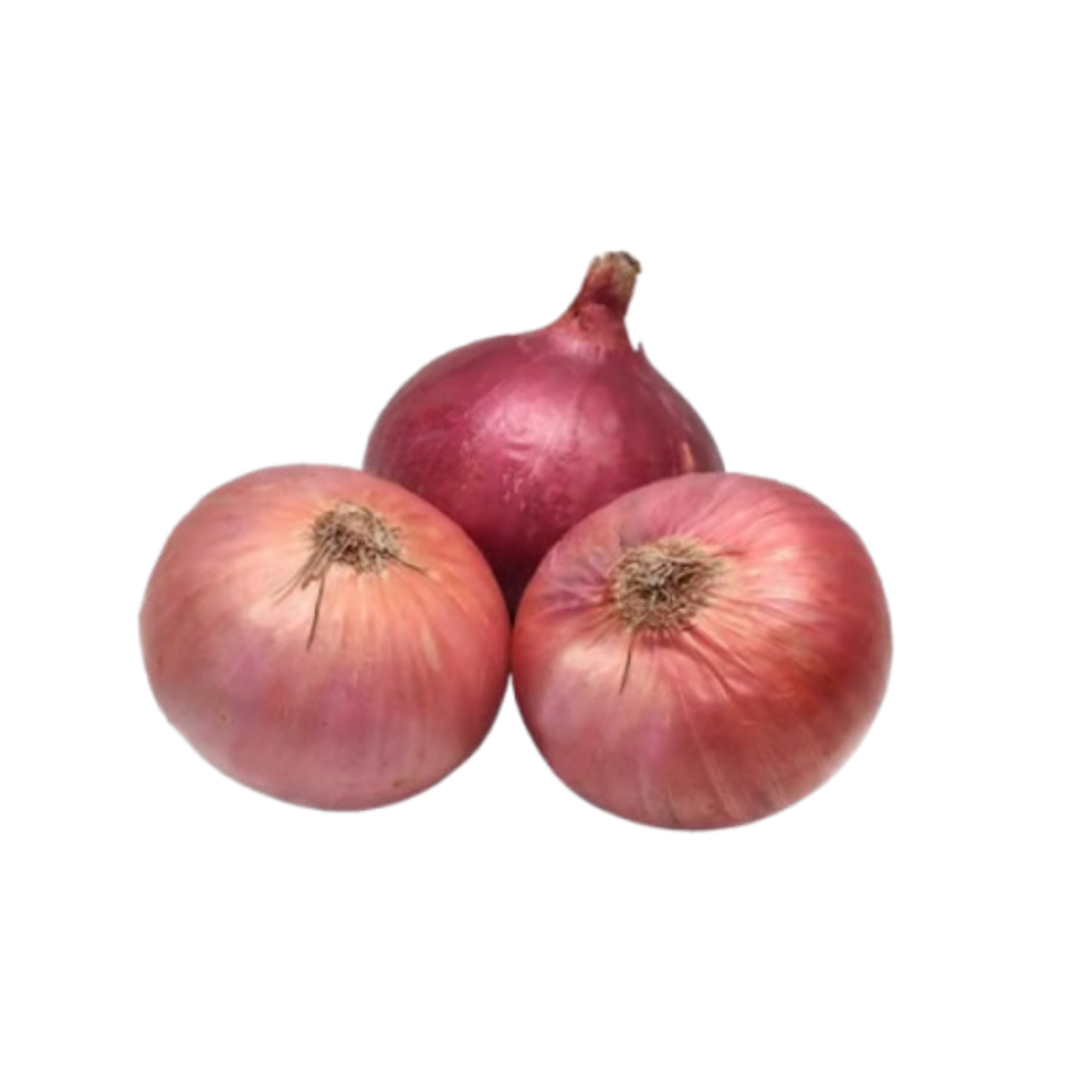 fresh onion (Pyaz) 1kg
