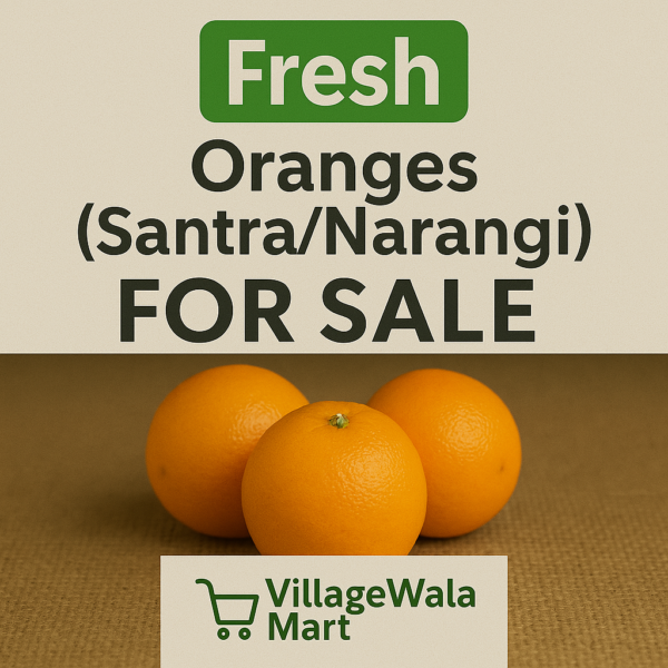 Fresh Oranges (Santra/Narangi) - 1kg - Image 2