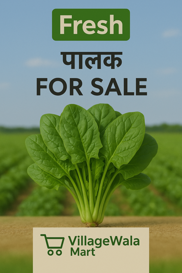 Nutrient-Dense Leafy Greens for Healthy Living