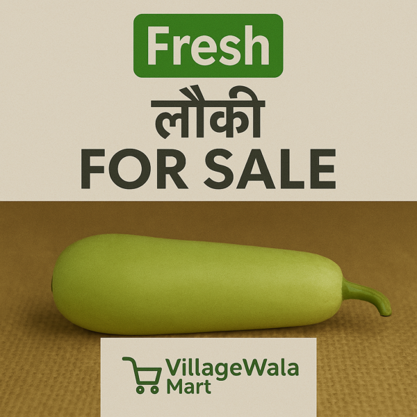 Premium Quality: Hand-selected young gourds with smooth green skin and firm texture, harvested at optimal maturity for best taste and nutrition.