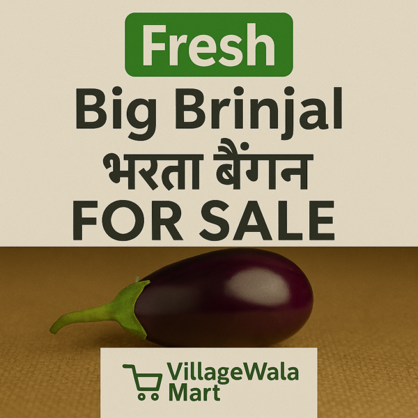 Fresh Big Brinjal (Bharta Baingan) - 1kg