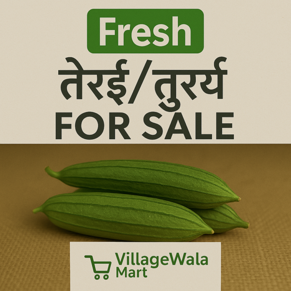 Fresh Ridge Gourd (Torai/Turai) - 1kg The Ultimate Summer Hydrator & Digestive Aid