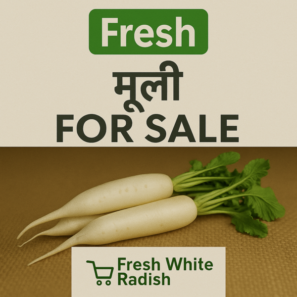 Fresh White Radish (Mooli) - 1kg Nature's Detoxifying Powerhouse