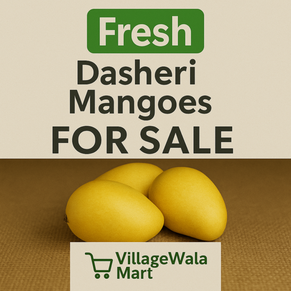 Fresh Dasheri Mangoes - 1kg The Legendary Aromatic Mango Variety