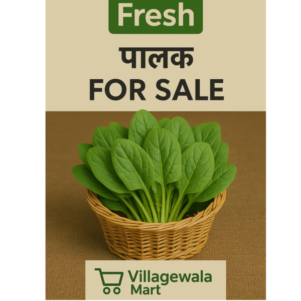 Fresh Spinach (Palak) - 500g Nutrient-Dense Leafy Greens for Healthy Living